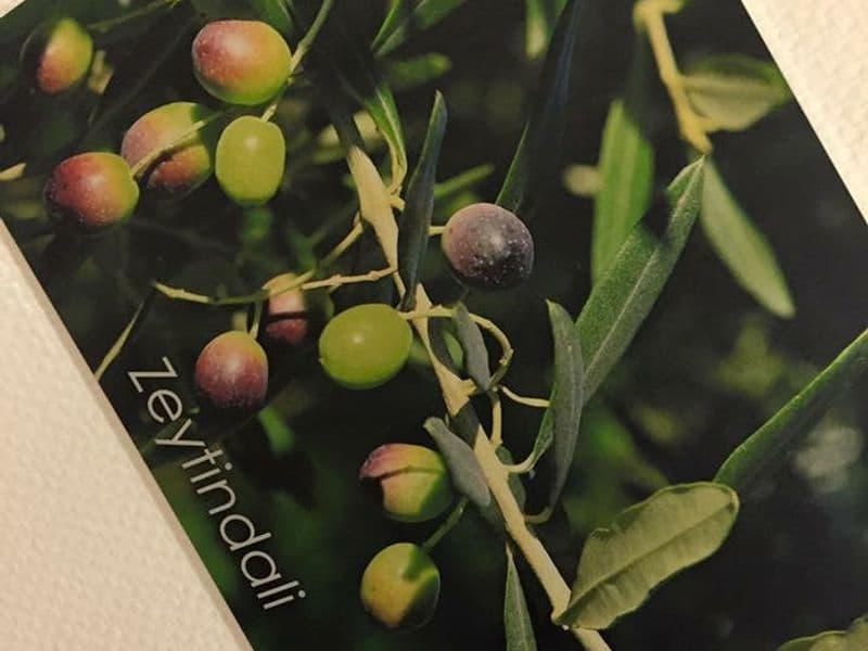 Ontbijt bij verzorgingshuis Zeytindalı